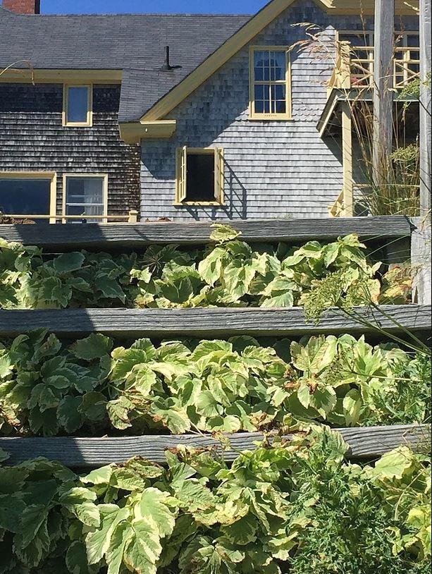 Acadia Bay Inn Sullivan Eksteriør bilde